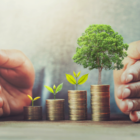 Investeer slim, oogst groen! Groen investeren